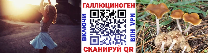 Галлюциногенные грибы Psilocybine cubensis  Галич 